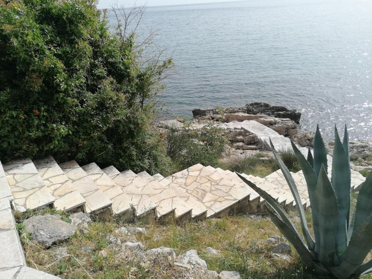 Apartman Marinkovic Dobra Voda Dış mekan fotoğraf