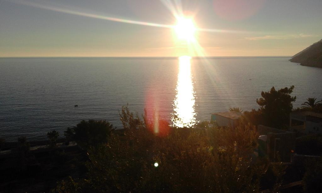 Apartman Marinkovic Dobra Voda Dış mekan fotoğraf