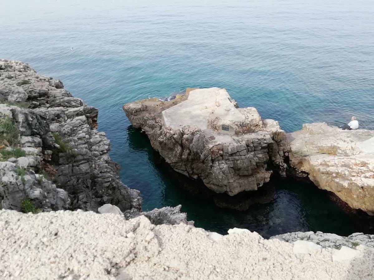 Apartman Marinkovic Dobra Voda Dış mekan fotoğraf