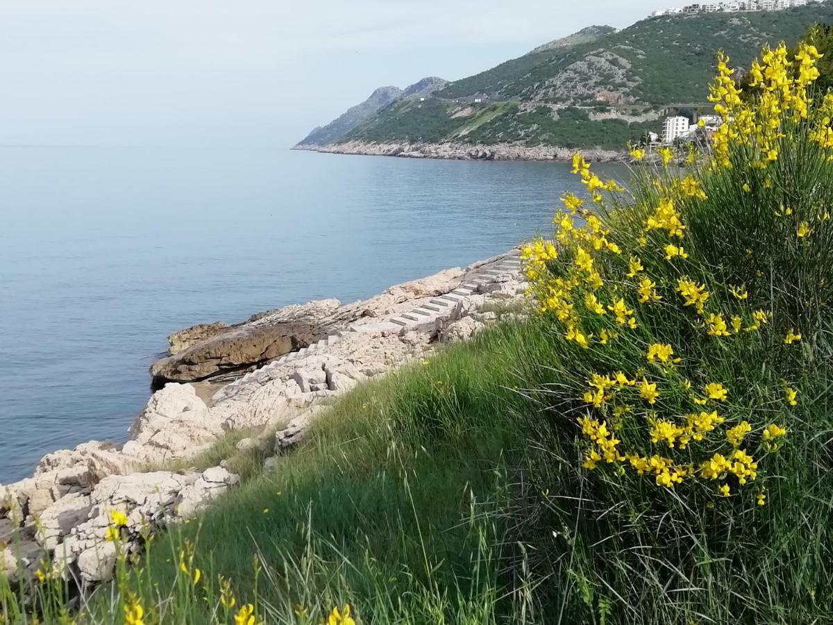 Apartman Marinkovic Dobra Voda Dış mekan fotoğraf